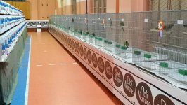65_OŠS_Sombor_2024_5