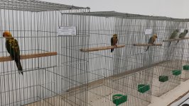 48_Sajam_Sombor_2025_13