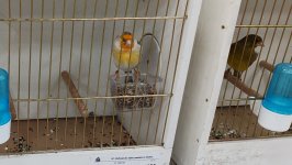 48_Sajam_Sombor_2025_19