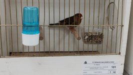 48_Sajam_Sombor_2025_20