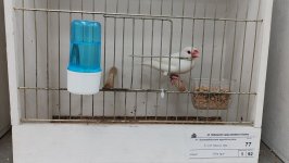48_Sajam_Sombor_2025_23