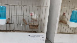 48_Sajam_Sombor_2025_24