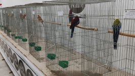 48_Sajam_Sombor_2025_26