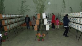Izložba ptica - Subotica 2023